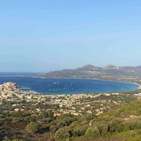 Exceptionnelle Vue Calvi - Piscine - T2 *